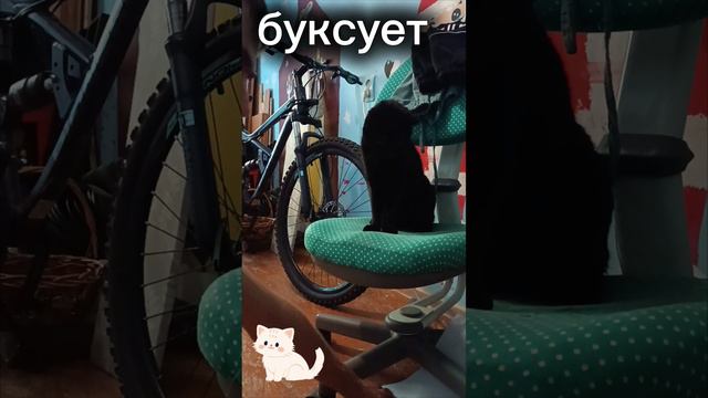 буксует🐱🐱