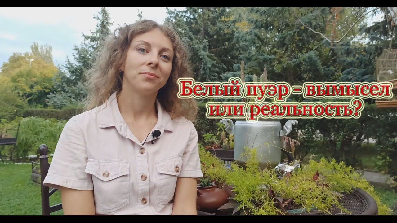 Белый пуэр - вымысел или реальность?