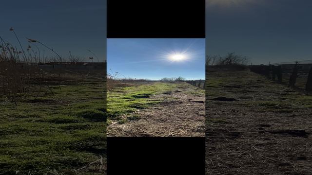 😳ОБЗОР УЧАСТКА В КРАСНОДАРСКОМ КРАЕ ЗА 950 000 р 🔥🔥!!!