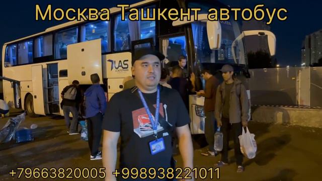 Москва Ташкент Автобус