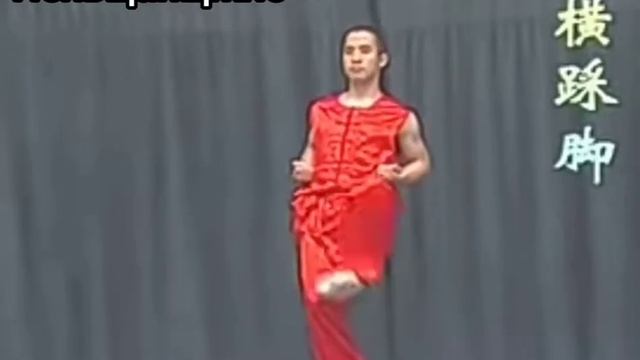 НаньЦюань Туй Фа ( движения ног)