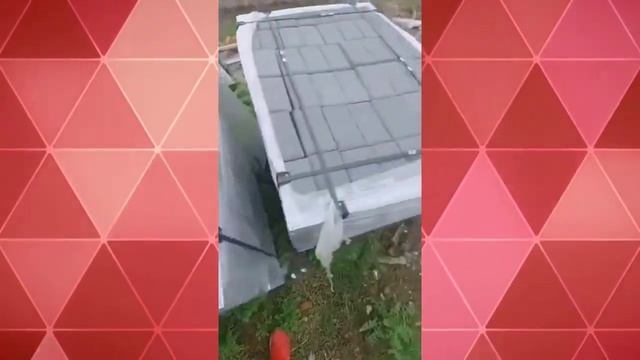 Никогда раньше не видел таких строителей
