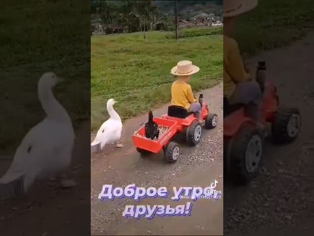 доброе утро