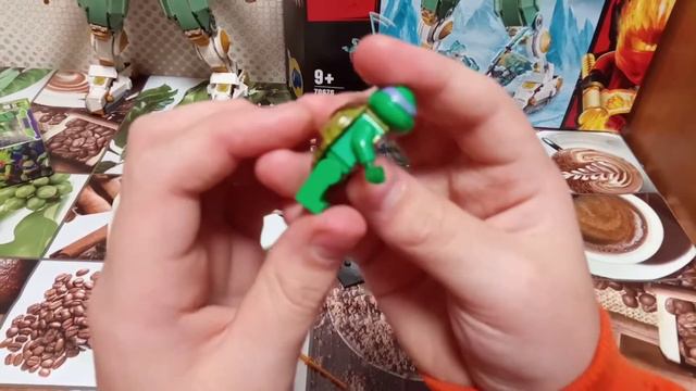 Обзор на китайских черепашек ниндзя