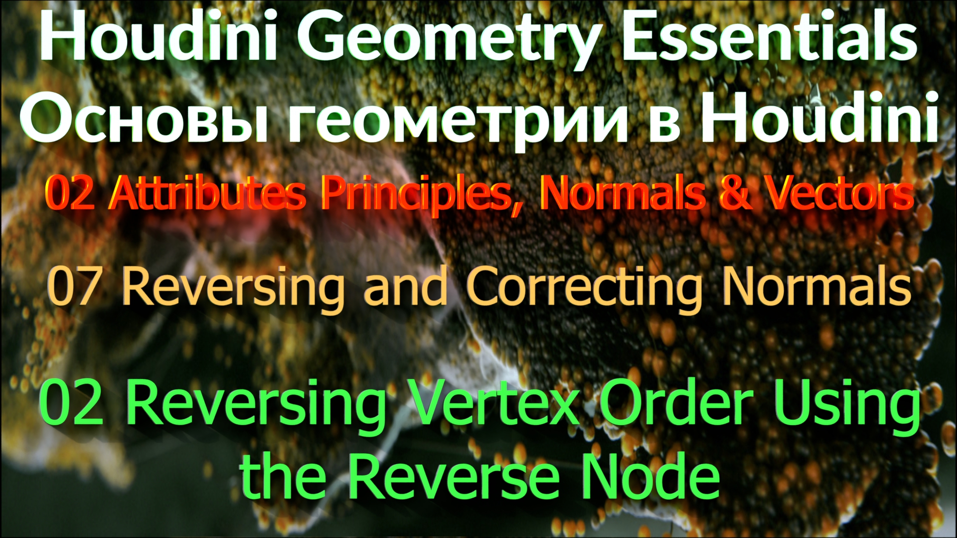 02_07_02 Reversing Vertex Order Using the Reverse Node