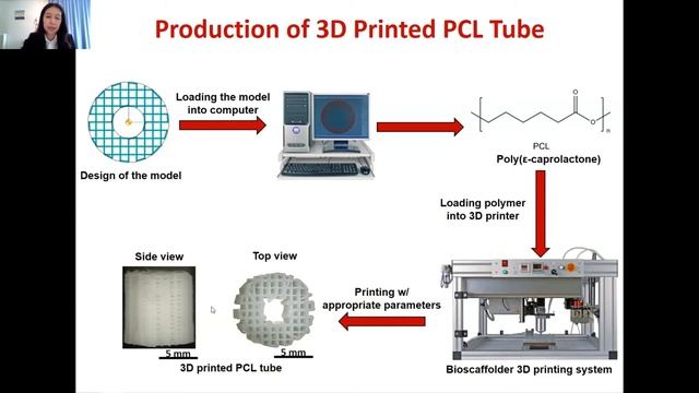 Nerve Guides as Nerve Tissue Engineering Biomaterials