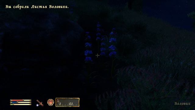 Прохождение The Elder Scrolls 4: Oblivion - Часть 25. Вампиры и охотники (Гильдия Магов)
