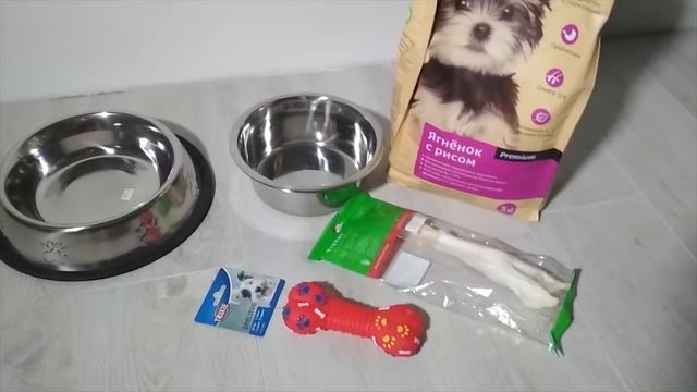 СПАСЛИ ЩЕНКА ИЗ ПРИЮТА