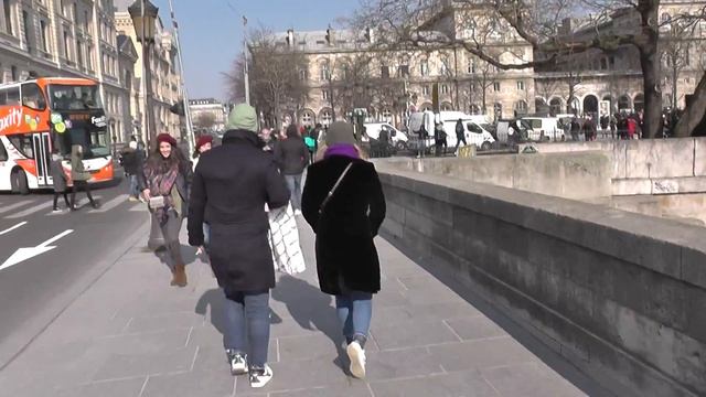 Собор (Нотр-Да́м де Пари́)! Храм в центре Парижа! Франция (France), Paris.