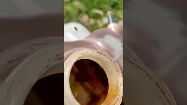 Новый тосол через неделю