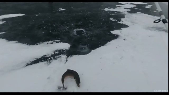 Топор в место ледобура!?Новая земля/ГОЛЕЦ/ПАЛИЯ!!!