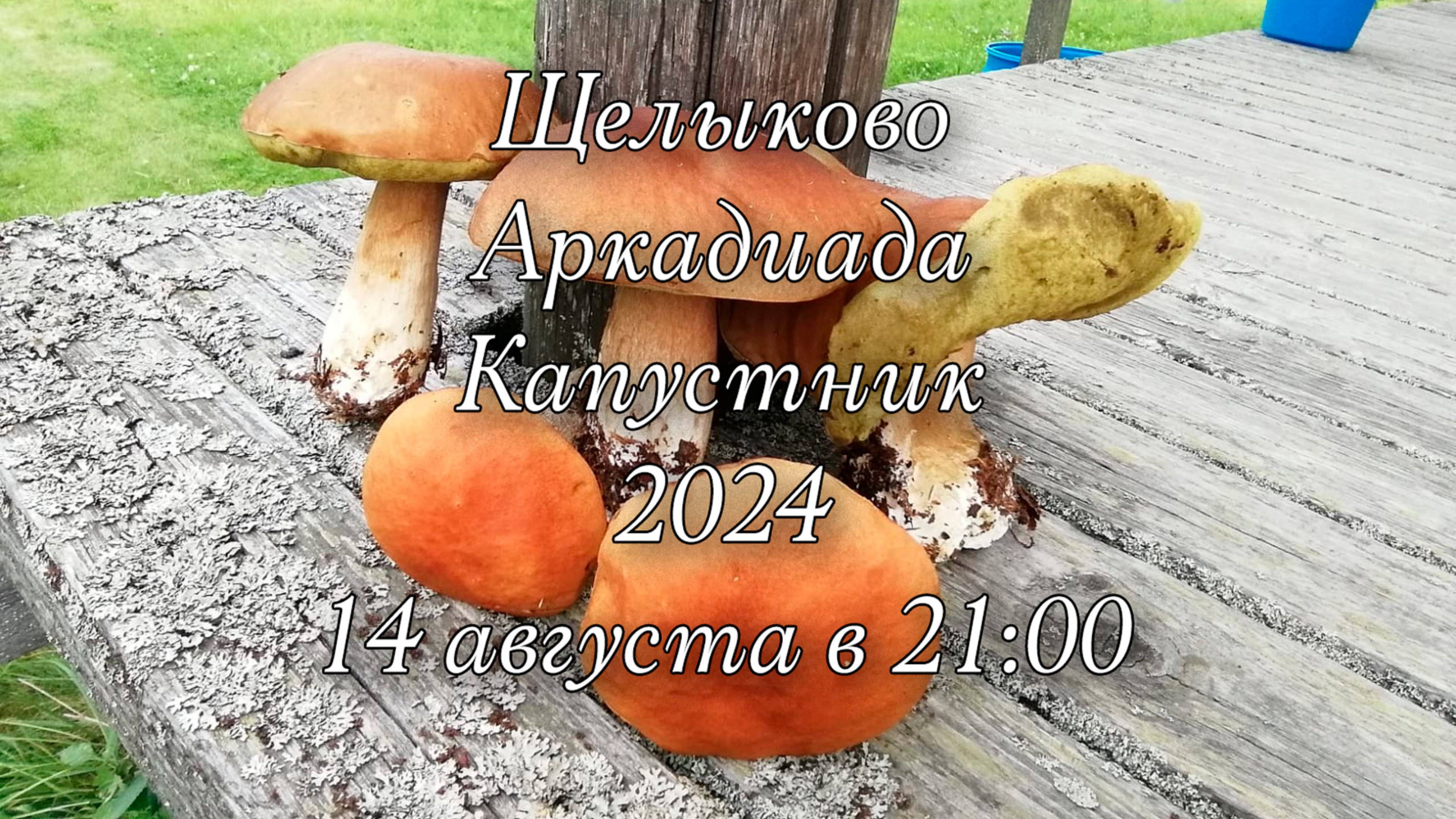 Аркадиада. Капустник 2024