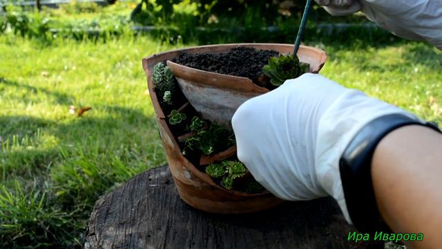 How to Make a Broken Pot  a Miniature Fairy Garden