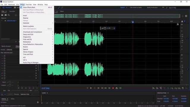 How To Add Delay  Echo in Adobe Audition
