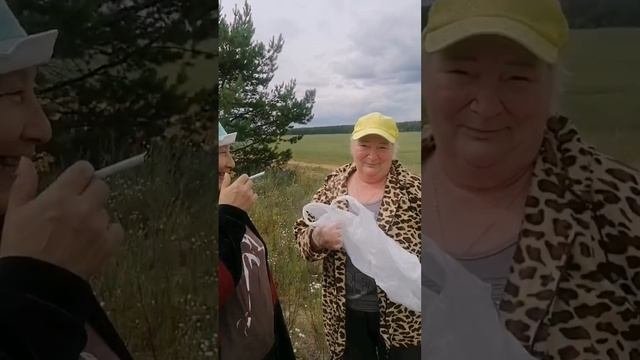 За грибами под грибами