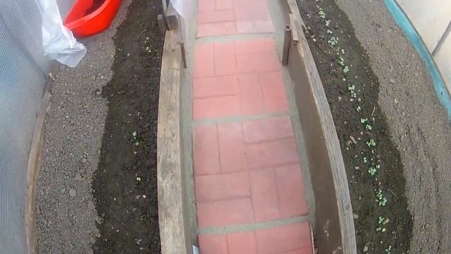 тратуарная плитка в теплице