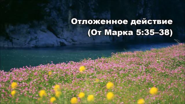 14.07.2014 Еще большие чудеса (От Марка 5:35-6:6)