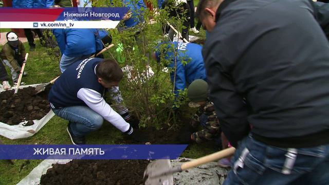 Сквер Интернационалистов стал первой нижегородской площадкой акции «Сад памяти», которая стартовала
