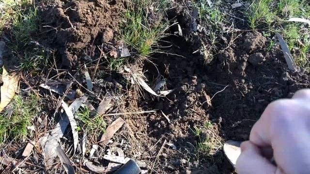Metal Detecting In A Local Park | Silver Ring Found!! | Looking For Treasure | Minelab Equinox600