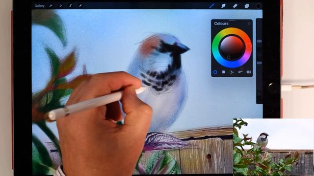 A great brush for fans of detail! Bonobo Chalk  brush in Procreate
