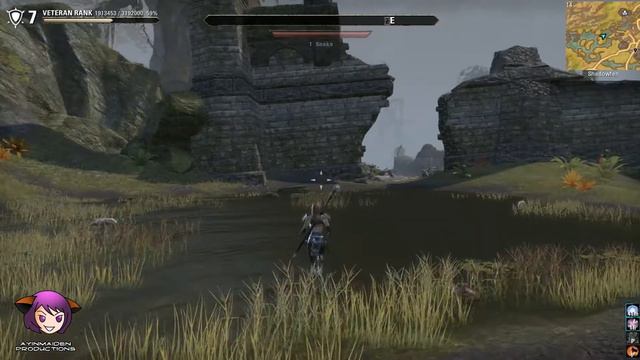 Elder Scrolls Online - Shadowfen Treasure Map VI