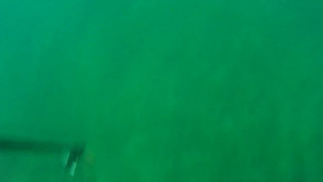 Фейл на подводной охоте