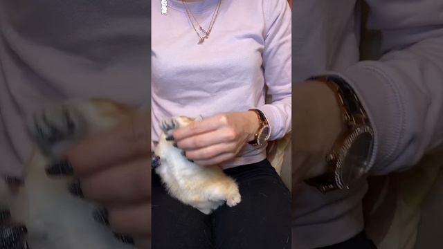 ну очень бодро 😄