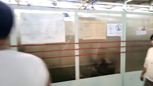 Экскурсия по Э.Л.З.