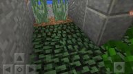 Minecraft. Лагерь Котов Воителей