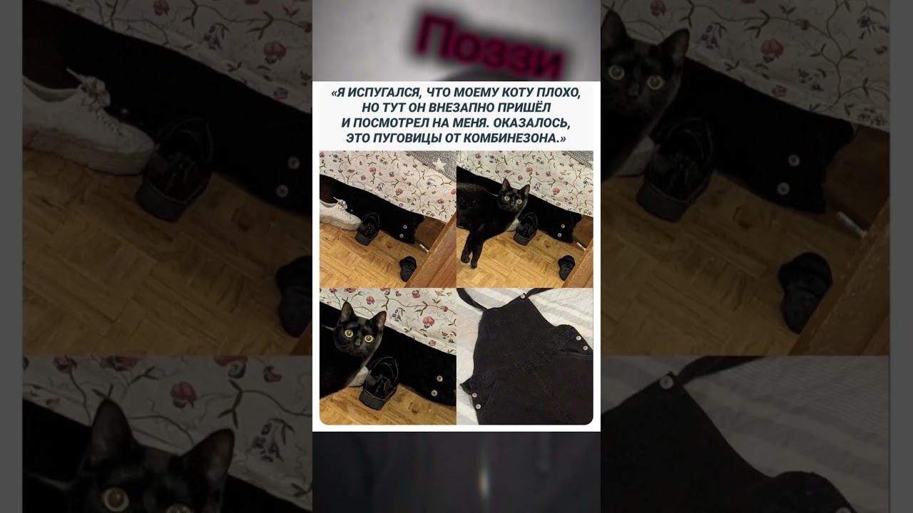 #позитив #поззи #юмор #актив #мемы #мем #доброеутро #прикол