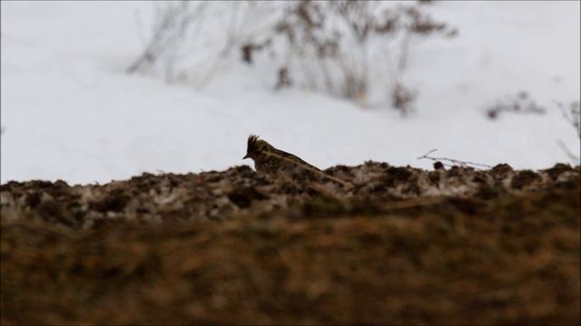 Весенние Российские мотивы