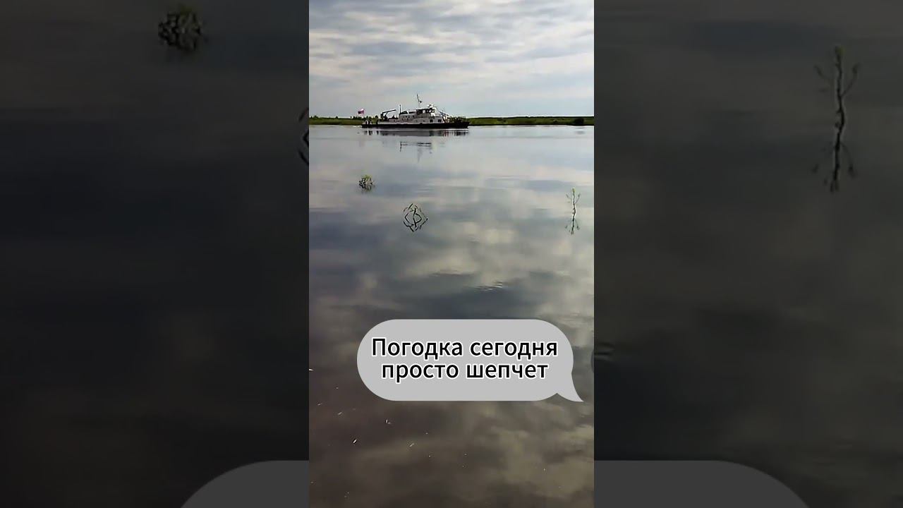 Вторая попытка поймать трофей!!!#рыбалка#речка#природа#отдых