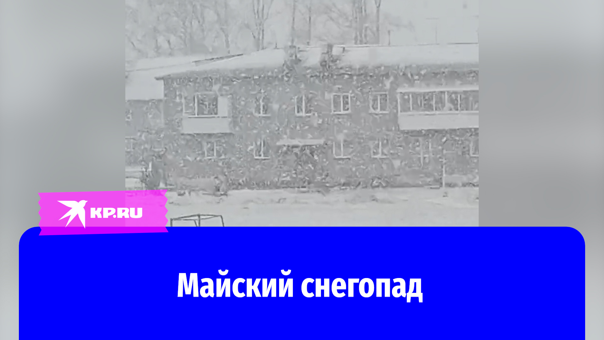 В Новосибирске 2 мая выпал снег