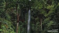 Водопад.Падающая вода.Музыка души. Waterfall. Falling water. Music of the soul.#рек #премьера