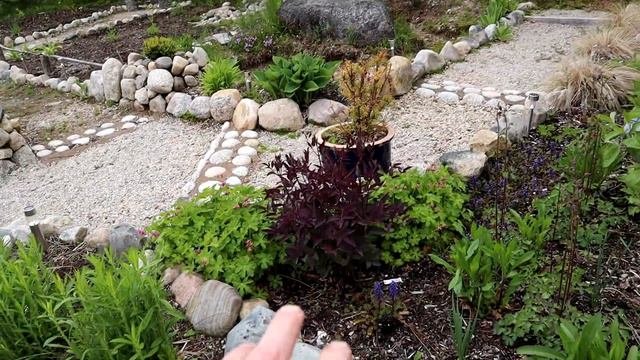 The Optimistic Garden June Flower Garden Tour
