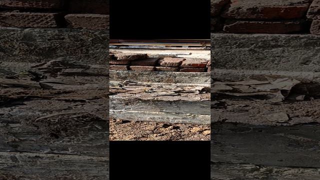 1000007039.mp4