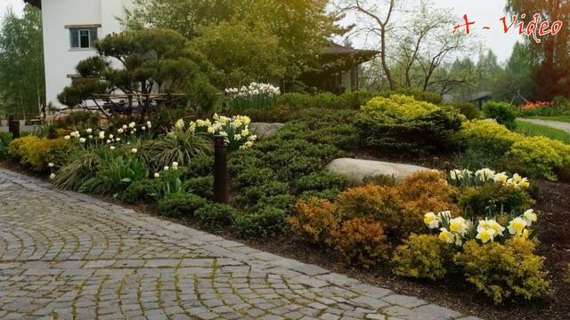?Классные идеи для ландшафтного дизайна / Great ideas for landscaping / A - Video
