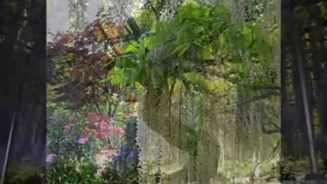 Копия видео "Нежные глицинии в парке цветов Асикага    автор клипа Зоя Боур-Москаленко"