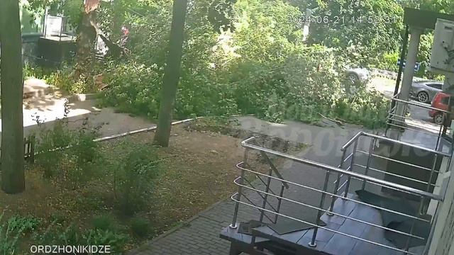 Момент падения дерева на девушку по улице Орджоникидзе попал на видео.