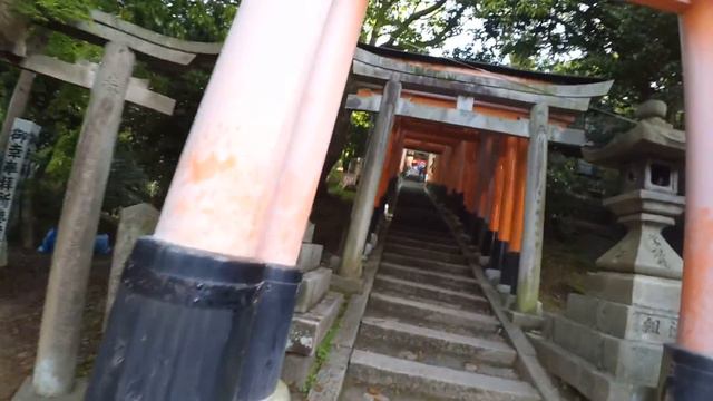 Fushimi Inari Taisha 3