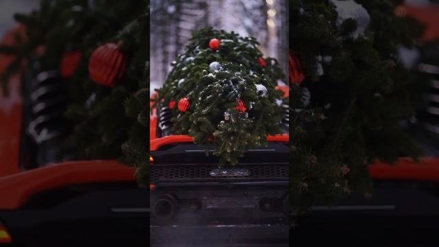 ДОСТАВКА ЁЛКИ С НАСТУПАЮЩИМ НОВЫМ ГОДОМ??????❤️??????