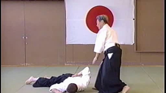 -AIKIDO- Shoji NISHIO - (Nishio AiKiDo)
