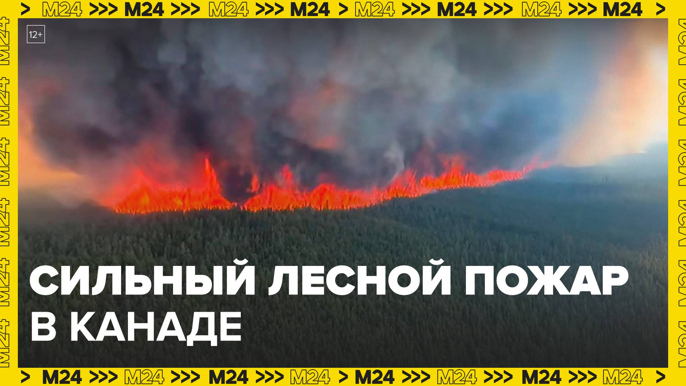 Сильный лесной пожар охватил канадский национальный парк Джаспер: Новости мира - Москва 24