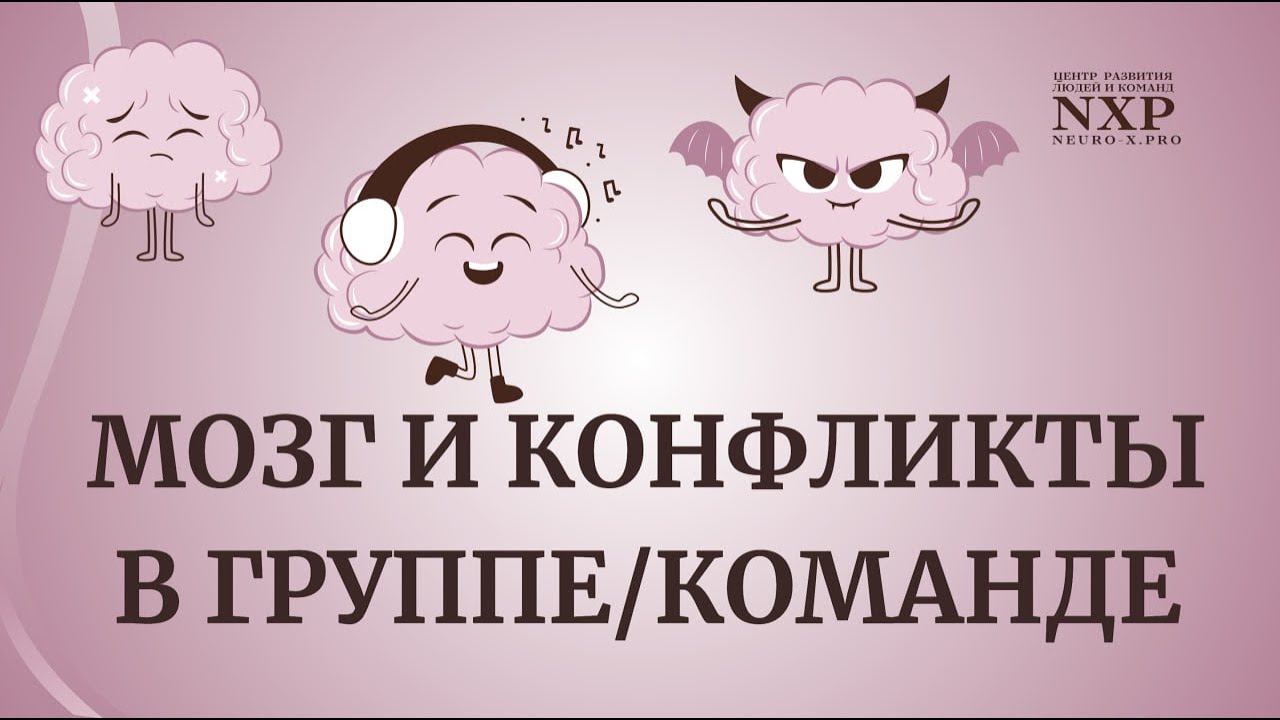 КОНФЛИКТЫ В ЕЖЕДНЕВНОЙ ЖИЗНИ: МОЗГ, ЛИМБИЧЕСКАЯ СИСТЕМА И ПОЧЕМУ ВАЖНО УМЕТЬ ЭТИМ УПРАВЛЯТЬ