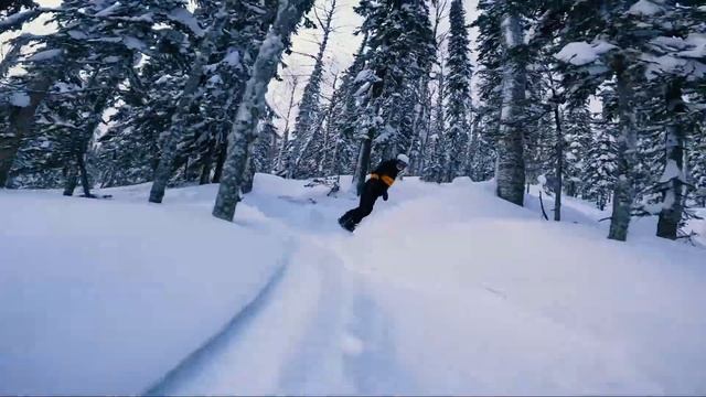 Шерегеш - Sheregesh. Telos sharkalanche surfer 156.