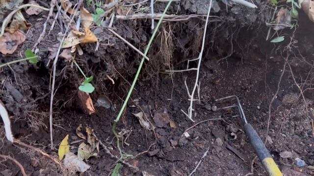Cops Called! Bottle Digging Disaster! #treasure #bottledigging  #history