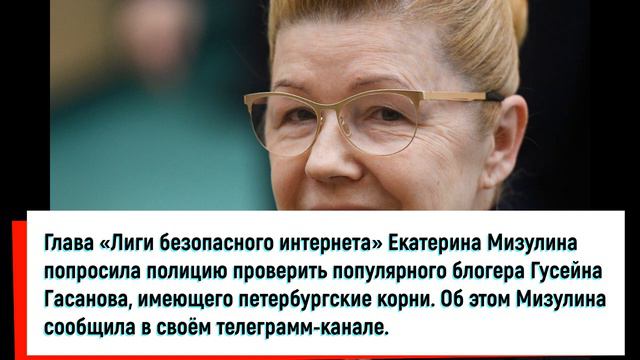 Мизулина попросила МВД проверить петербургского блогера Гасанова