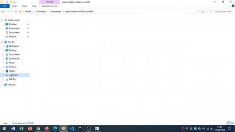 CARA AGAR WEBSITE LOCALHOST BISA DIAKSES SECARA ONLINE DENGAN NGROK - GRATIS
