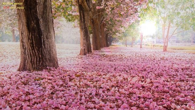 Guitar saxophone piano romantic music 2 Гитара Саксофон Фортепиано Романтическая музыка для Двоих