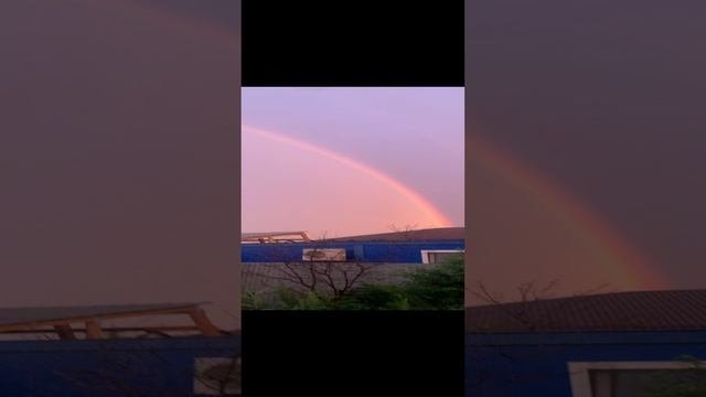 Смотреть видео онлайн